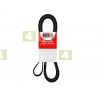 Pasek wielorowkowy 6PK1240